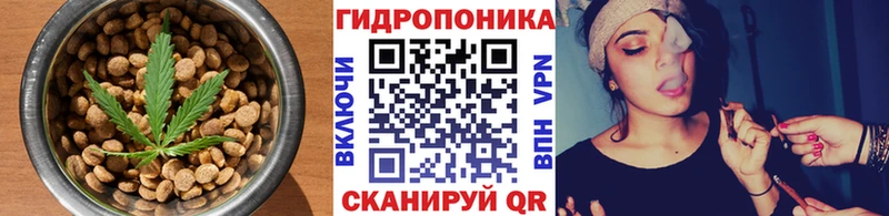 купить наркоту  Уржум  Еда ТГК марихуана 