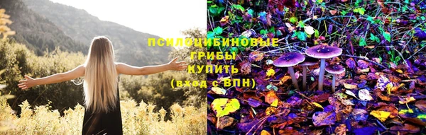 ешки Абдулино