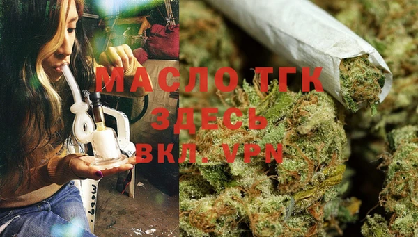 сатива Абаза