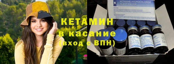 сатива Абаза