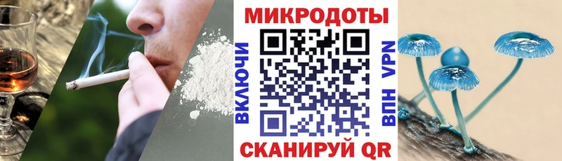 Галлюциногенные грибы Psilocybe  Уржум 